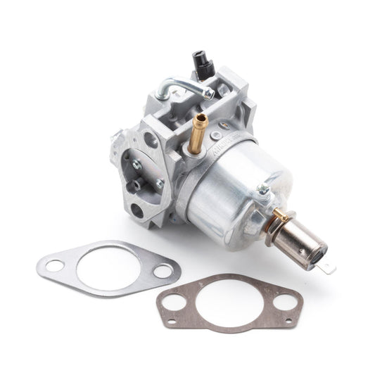 Carburetor & Gaskets - AM134257 - M113683